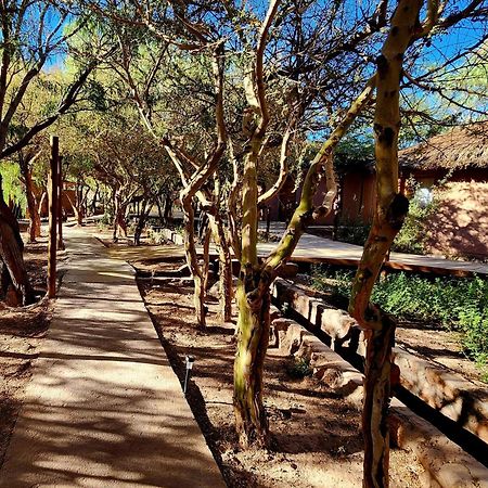 Hotel Tulor Σαν Πέδρο ντε Ατακάμα Εξωτερικό φωτογραφία