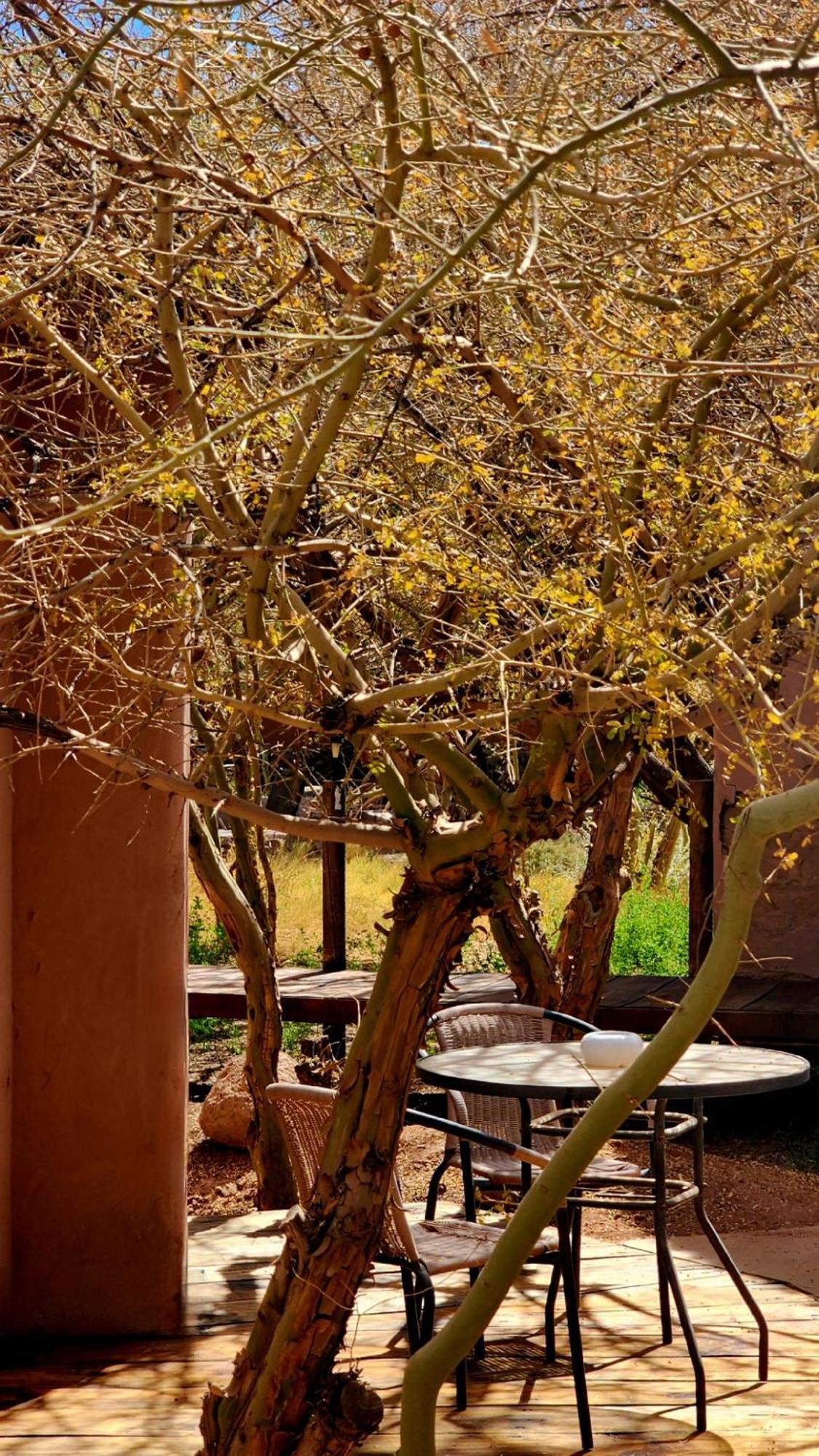 Hotel Tulor Σαν Πέδρο ντε Ατακάμα Εξωτερικό φωτογραφία