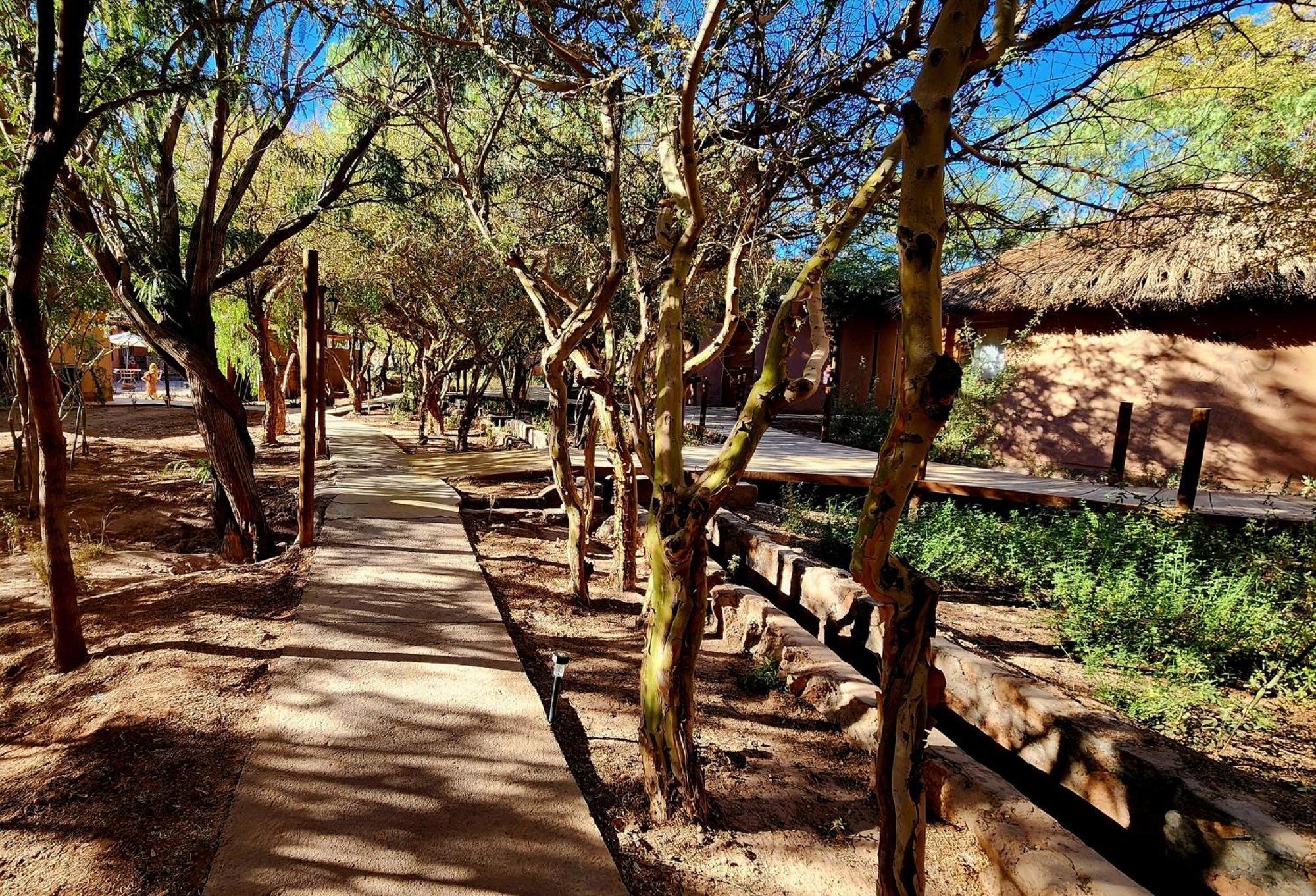 Hotel Tulor Σαν Πέδρο ντε Ατακάμα Εξωτερικό φωτογραφία